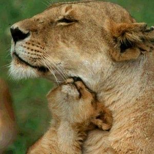 Meet your Posher, Heidi